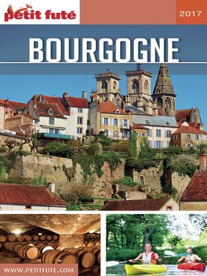 cover image of BOURGOGNE 2017 Petit Futé